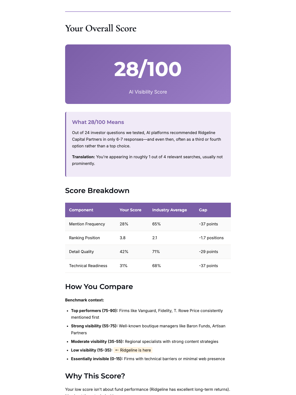 AI Visibility Report score breakdown and competitor comparison
